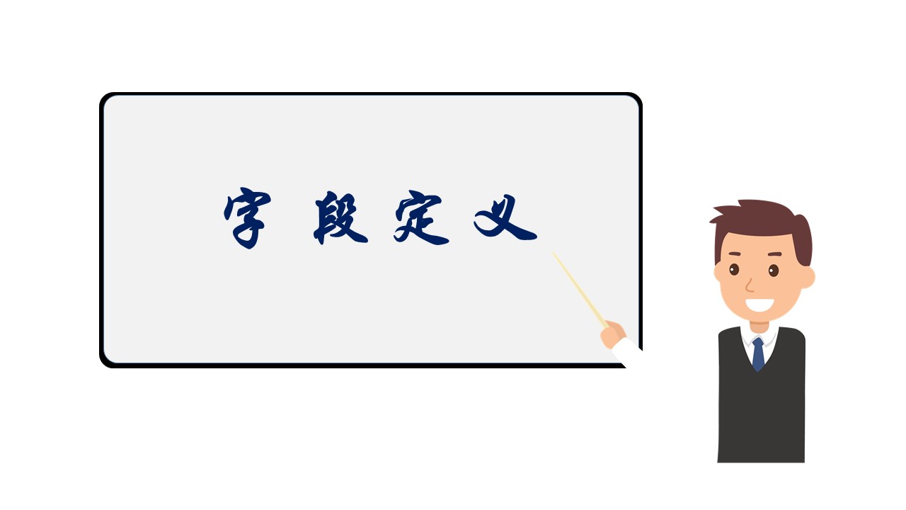 字段定義